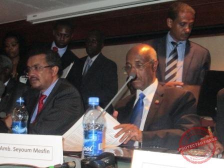 11 political parties have ‘confidence’ in Mesfin