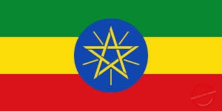 Ethiopia calls for withdrawal of foreign troops in SS
