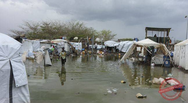 Encourage IDPs to go back home, provide security – Peace Commission