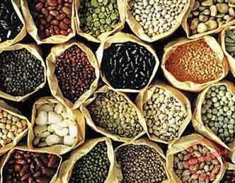 Seed factory launched in Yei