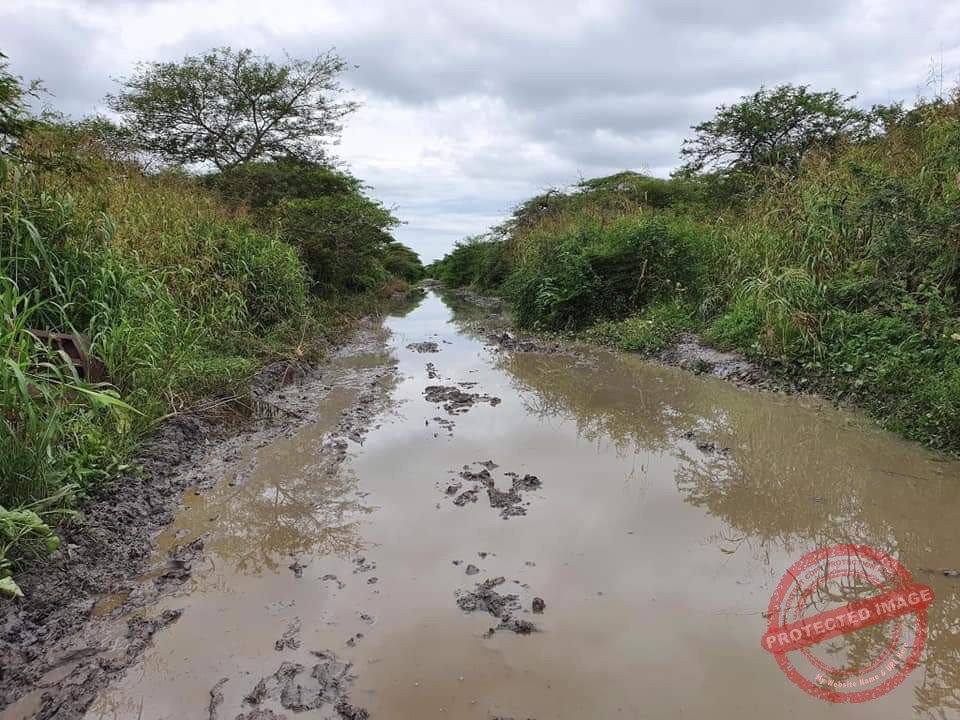 Floods displace over 1,500 in Koch County of Unity State