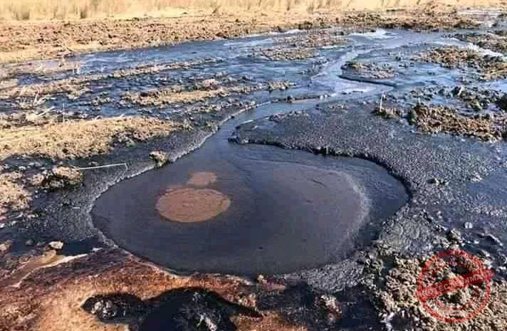 Environment Ministry pledges to address oil pollution fears
