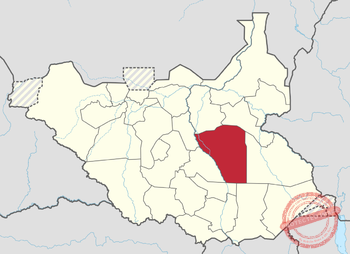 Nine killed in two separate attacks in Bor Town
