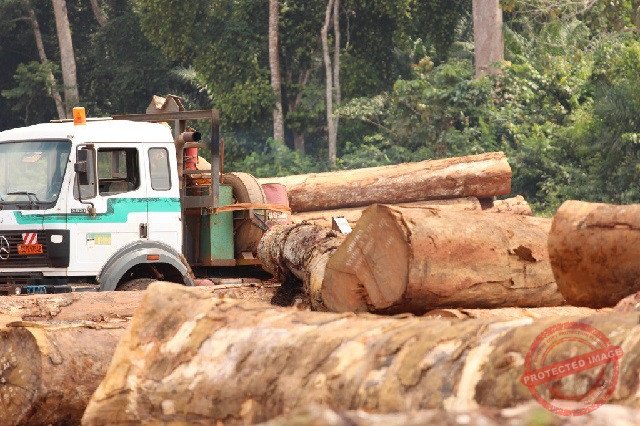 South Sudan natural resources exploited by foreigners-Deng Dau