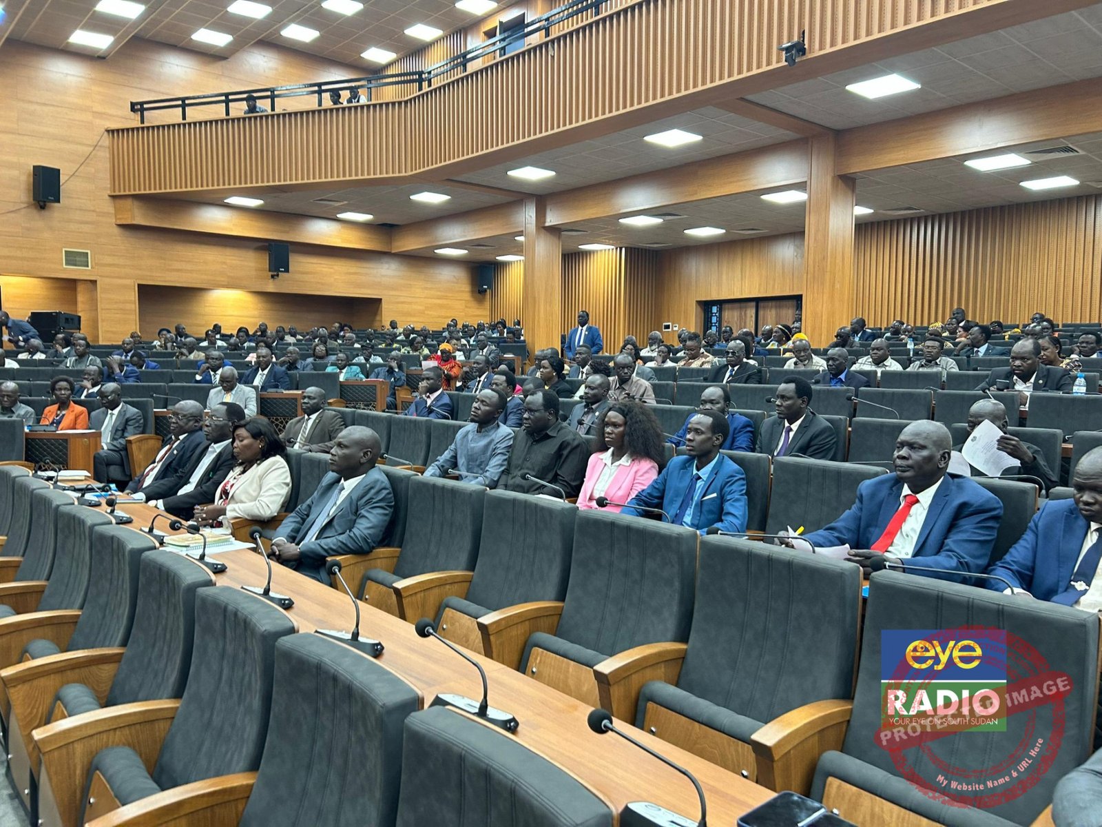 Civil society warns against election delays as parliament adopts 13th Constitutional Amendments